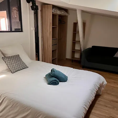 Le Gambetta - Spacieux Et Calme - Climatisé Montauban