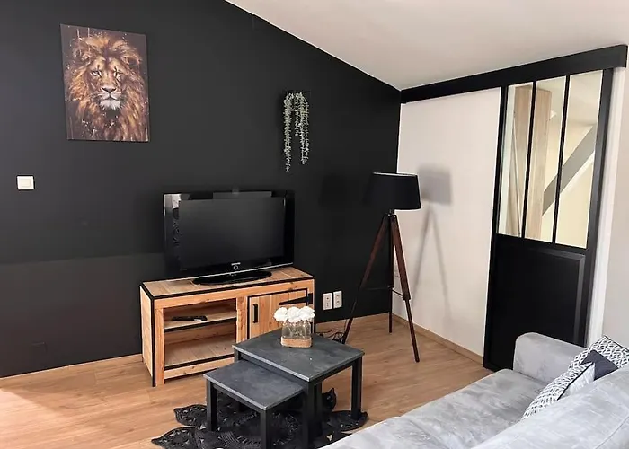 Appartamento Le Gambetta - Spacieux Et Calme - Climatisé Montauban