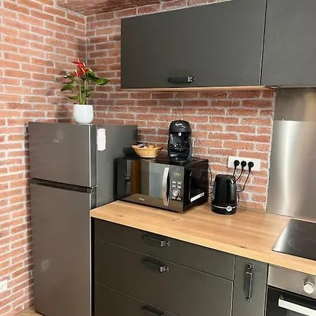 Apartment Le Gambetta - Spacieux Et Calme - Climatise Montauban