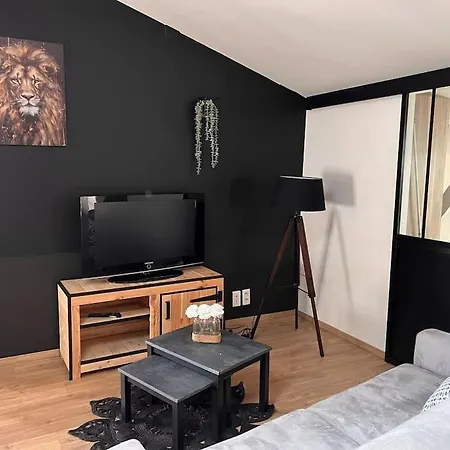 アパート Le Gambetta - Spacieux Et Calme - Climatise モントーバン