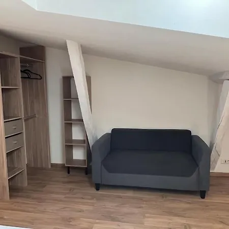 Le Gambetta - Spacieux Et Calme - Climatise * モントーバン