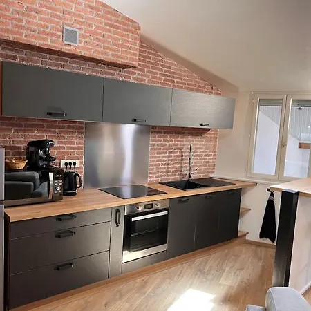 Le Gambetta - Spacieux Et Calme - Climatise Apartment