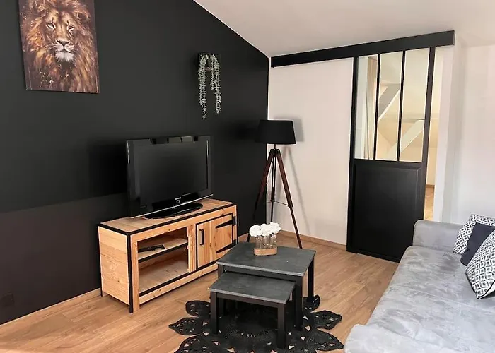 Le Gambetta - Spacieux Et Calme - Climatise מונטובן