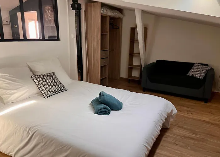 Le Gambetta - Spacieux Et Calme - Climatise Montauban