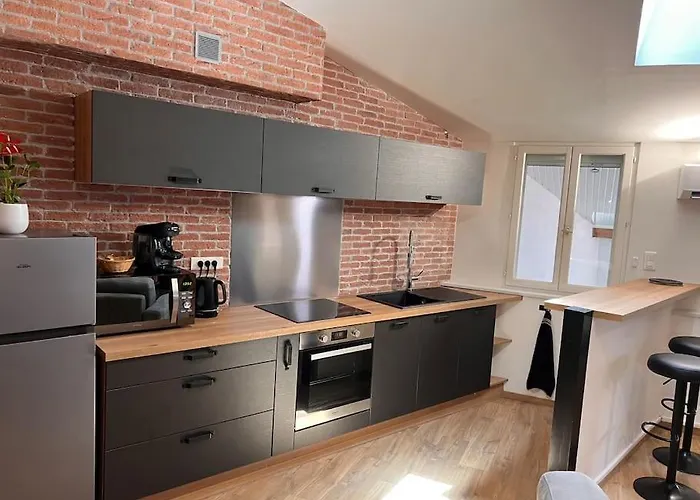 Le Gambetta - Spacieux Et Calme - Climatise Apartment